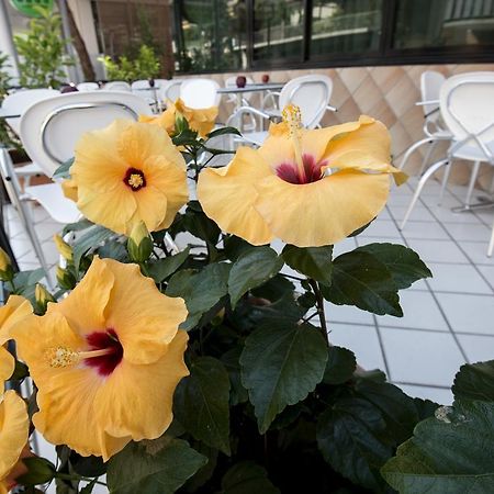 Hotel Scarlet Римини Екстериор снимка